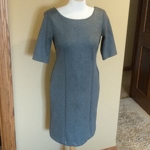 Banana Republic Shimmer Gray Dress; 4